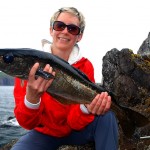 Dingle Sylvia