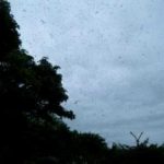 ‘Disco with the fairies’ – Dance of the MayFly at dusk at Church Island on Thursday May 31st