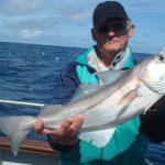 Haddock of 2.5kg for Isi