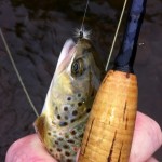 Fish Hunt 2