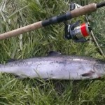 Garry O'Shea 6lb salmon