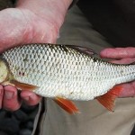 IMG_0923