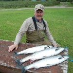 John O’ Neil Had These Three Fish On A Size 8 Double Snaelda Fly From Brineys And Lennox’s This Morning.