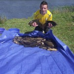 Johns 20 tench