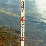 Laune Gauge