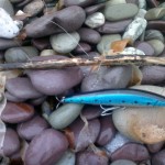 Lucky lure