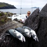 Mackerel