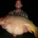 Massive carp 100lb+