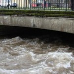 Reports have been received of dead fish as high up the river as Roundwood, and as far down the river as Ashford