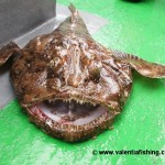 Rosi's monkfish