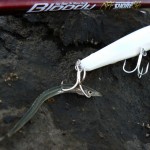 Sand eel