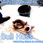 Shamrock tackle Bull Huss
