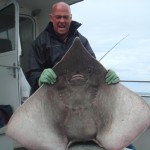 Skate caught by Gerwin de Heer 12th June 2012