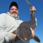 Spurdog on Predator charterboat