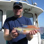 Terry Jackson's specimen cuckoo wrasse