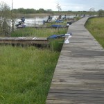 The Mud Flats