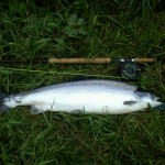 Tom Long's 13lb fish