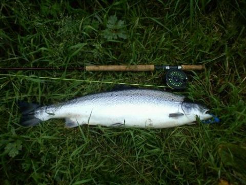 A nice fish for Tom Long