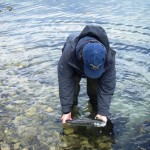 Setting bass free