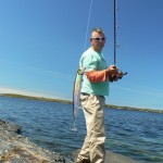 Baitdiggers blog – Neil