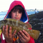 Lovely Fish