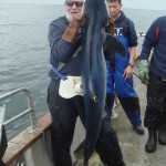 Blue of 2.1m for Mick Considine.