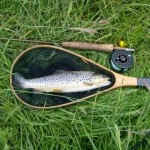 ECTROUT