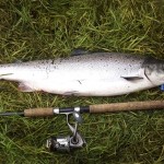 Fish Hunt salmon & rod
