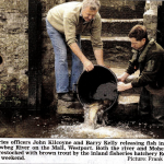 Fishery Officers restocking Carrowbeg River