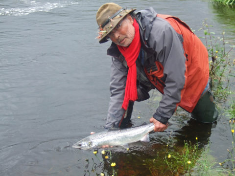 Gerard Garnier from France releasing a nice salmon on the River Erriff, July 2012