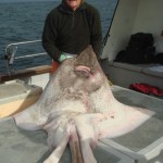 Keith wright with his common Skate july 2012