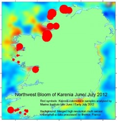 North West Bloom of Karenia