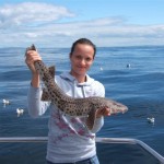 Shannon report 3