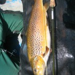 South East Game Angling 3