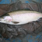 South East Game Angling 4