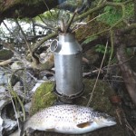 2½ lbs trout caught by Owain Pickersgill, Mullingar