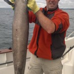 Conger eel