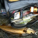 Baitdigger's Pollack 4