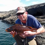 Br of Ross Wrasse