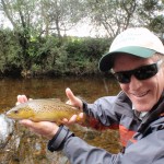 Trout