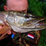 Toothy Pike