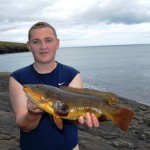 Fine Wrasse