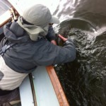 Fish Hunt Aug '12 2