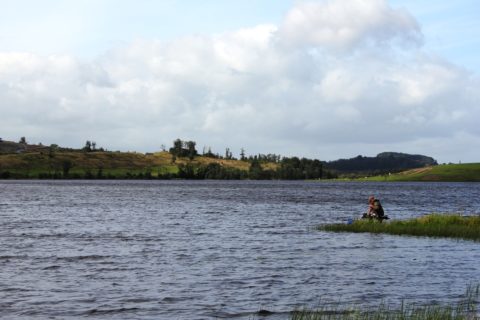 Water Levels Are Well Up on Lough Muckno