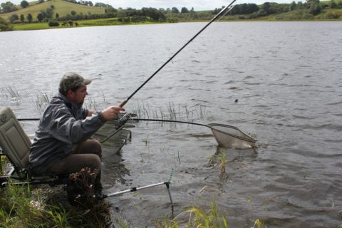 Another Fish Comes to the Net on Lough Muckno in Co Monaghan