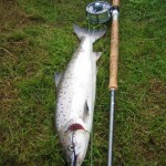 Jason's fish