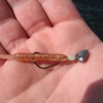Jay La Roche lure
