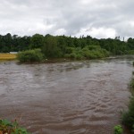 River Suir flooded