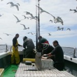 On board the Sioux