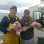Dundalk Bay Now Producing Some Nice Double Figured Bullhuss